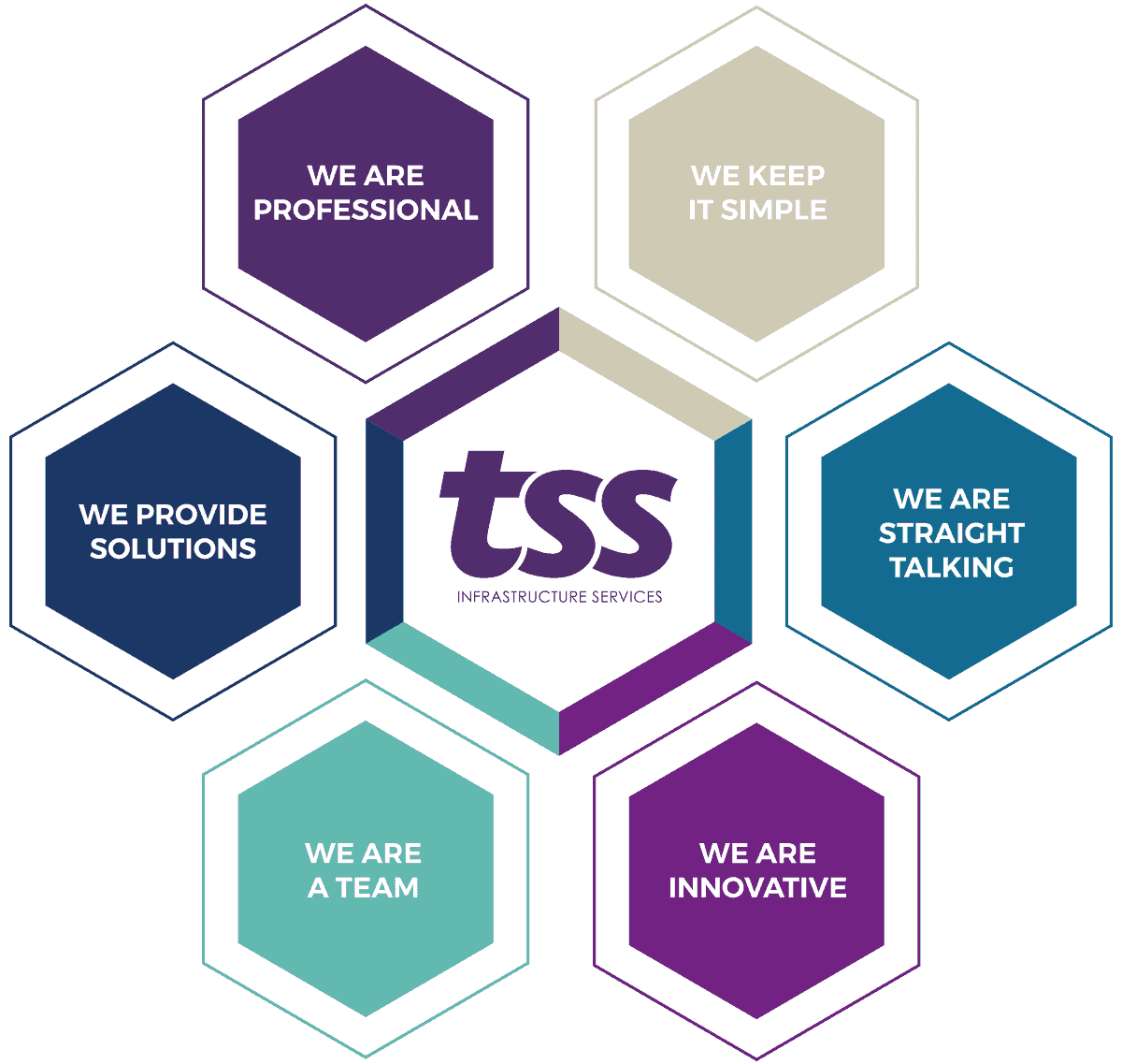 Culture hexagons with the TSS values